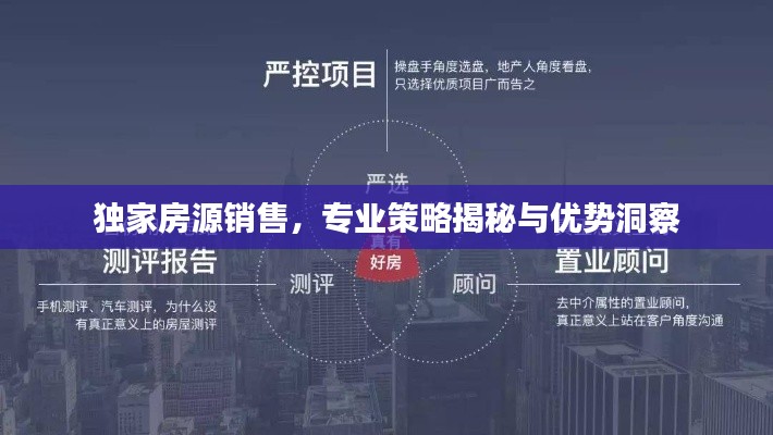 獨家房源銷售，專業策略揭秘與優勢洞察