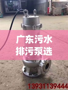 廣東污水排污泵選型指南，規(guī)范選購(gòu)，高效排水
