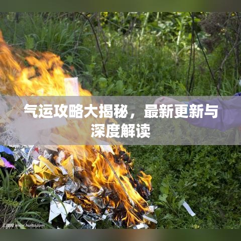 飛禽走獸