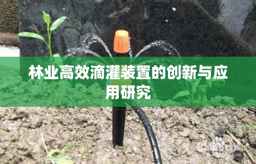 林業(yè)高效滴灌裝置的創(chuàng)新與應(yīng)用研究