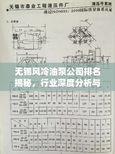 無錫風冷油泵公司排名揭秘，行業(yè)深度分析與趨勢解讀