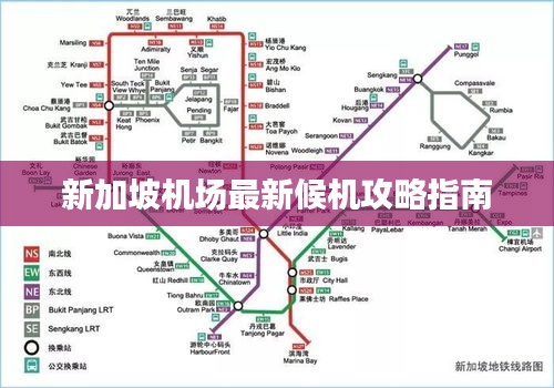 2025年6月 第8頁