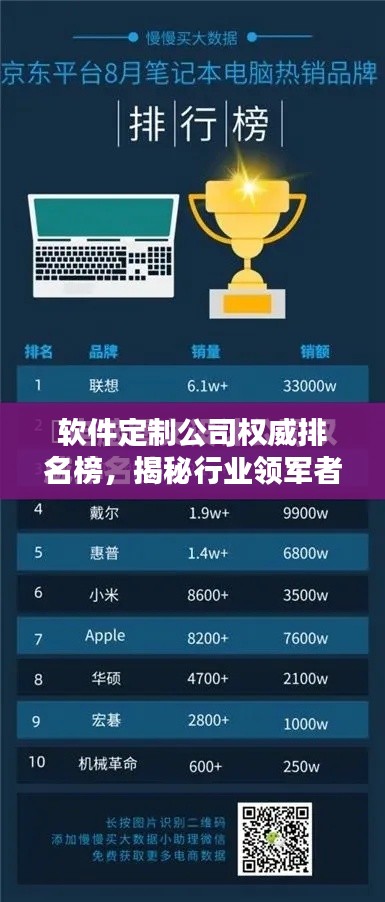 軟件定制公司權(quán)威排名榜，揭秘行業(yè)領(lǐng)軍者的秘密！