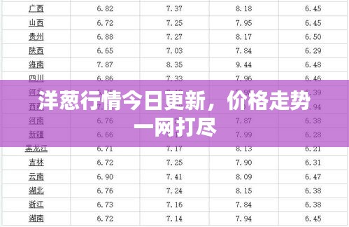洋蔥行情今日更新，價格走勢一網打盡